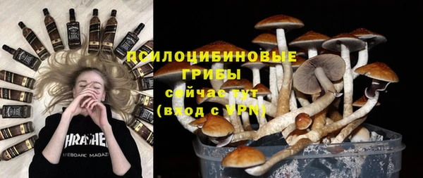 стафф Михайловка