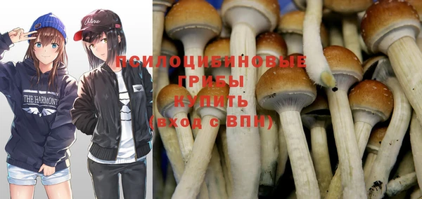 стафф Михайловка