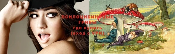стафф Михайловка