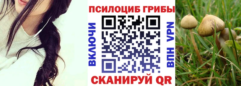 Галлюциногенные грибы Magic Shrooms  Сычёвка 